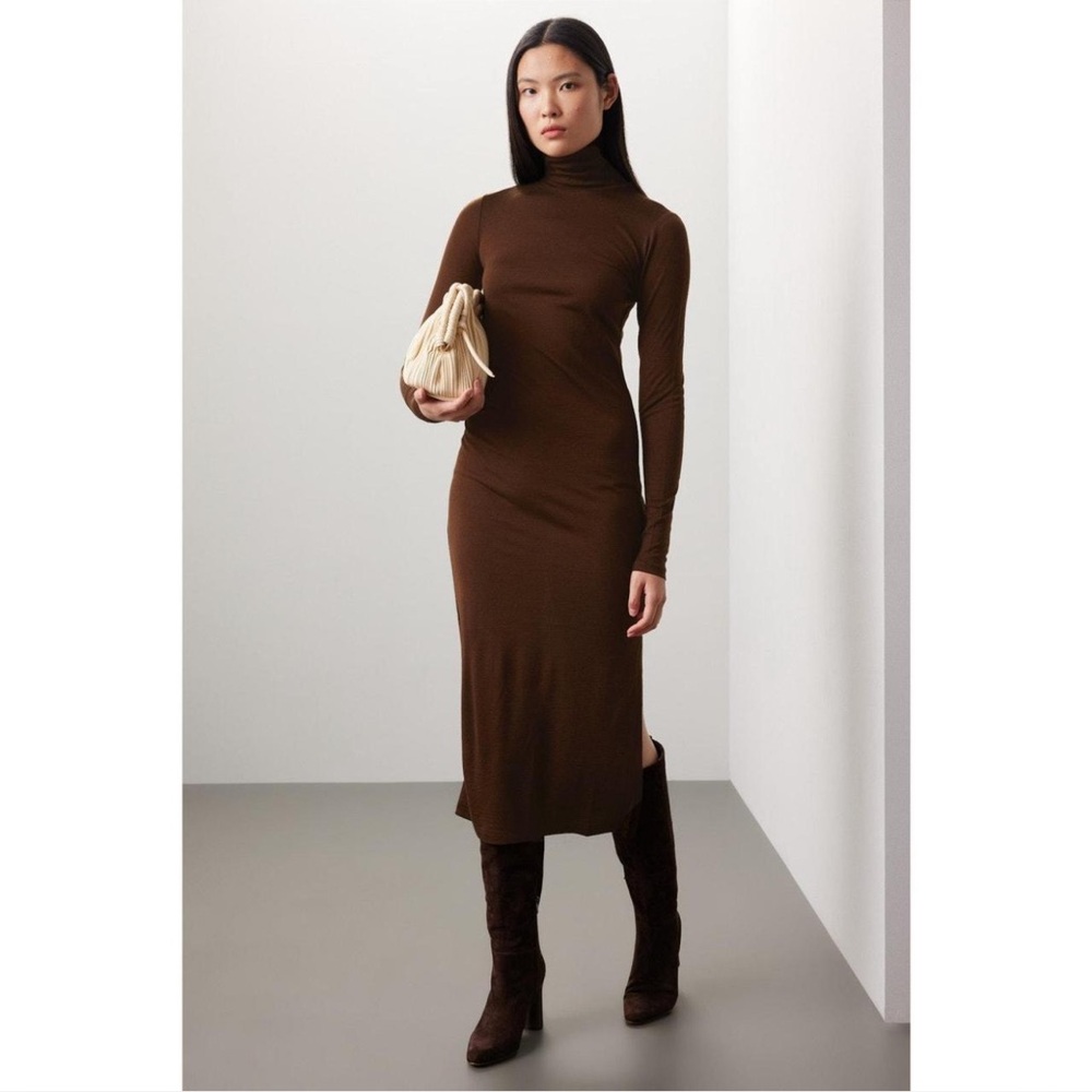 Polo Ralph Lauren Brown Dress XXS NWT Turtle Neck